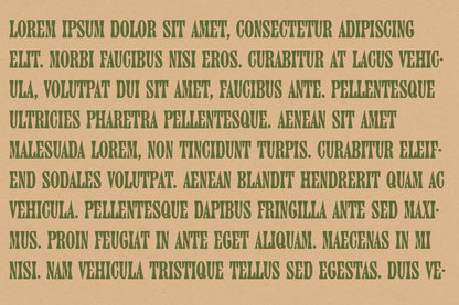 Alameda Typeface
